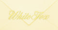 Envelope Gift Card
